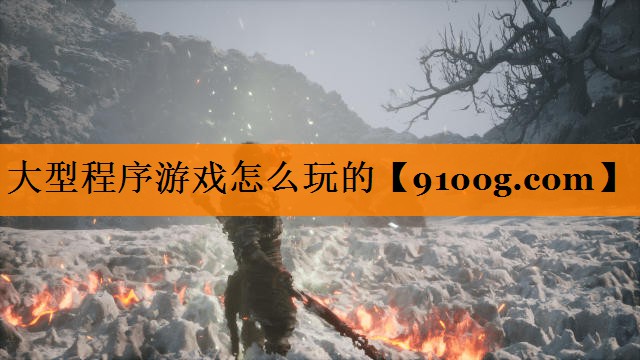 大型程序游戏怎么玩的