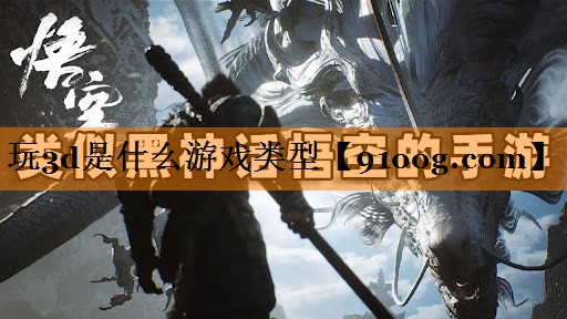玩3d是什么游戏类型