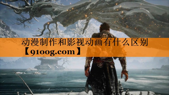 动漫制作和影视动画有什么区别