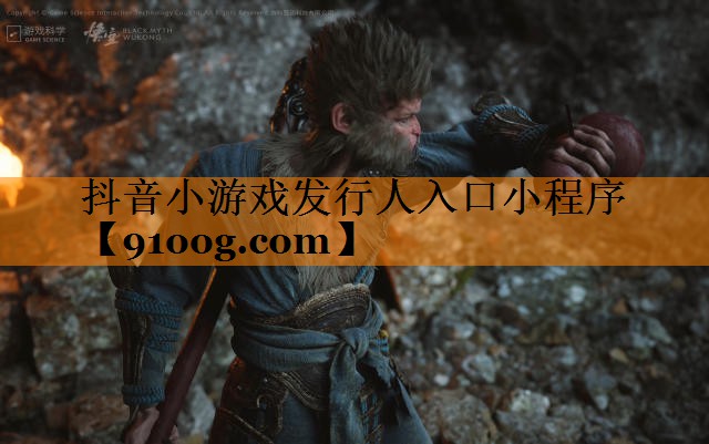 抖音小游戏发行人入口小程序