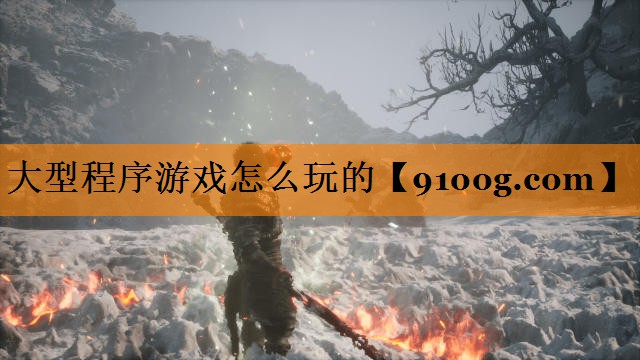 大型程序游戏怎么玩的
