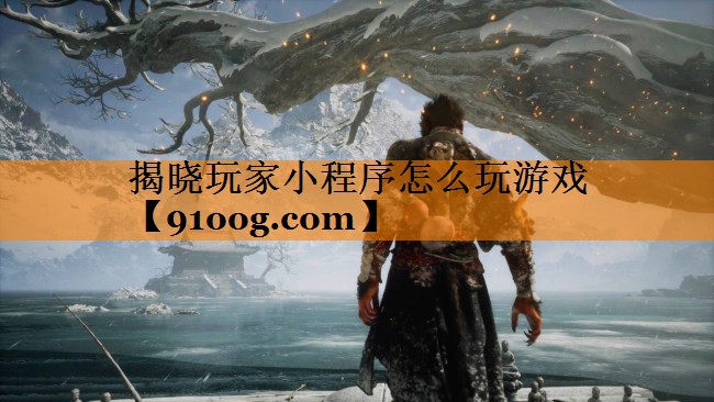 揭晓玩家小程序怎么玩游戏