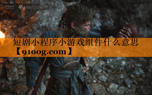 短剧小程序小游戏组件什么意思