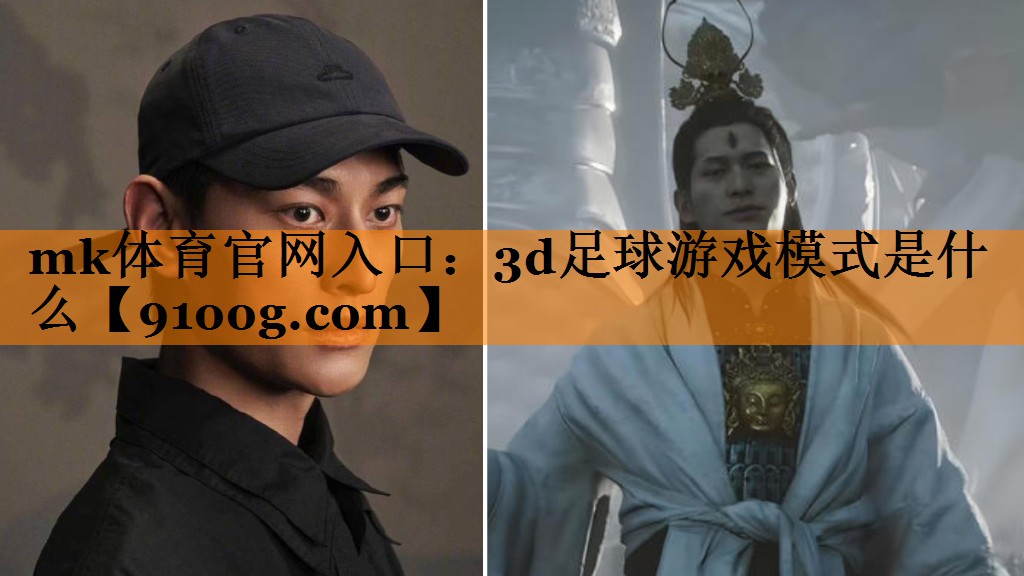 3d足球游戏模式是什么