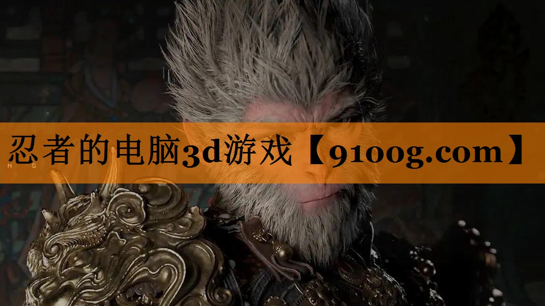忍者的电脑3d游戏