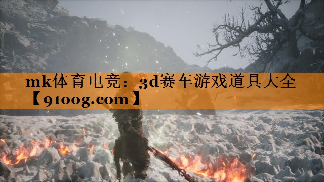 3d赛车游戏道具大全